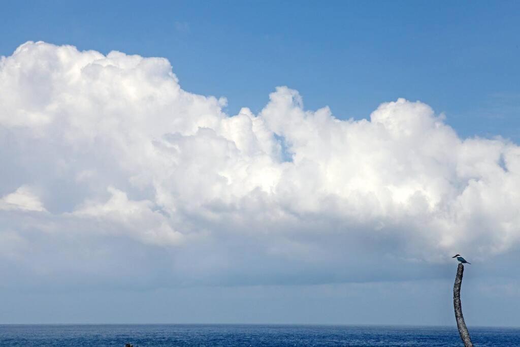 Villa Lumba Lumba - Oceanfront&Spectacular View! Lembongan Exterior foto